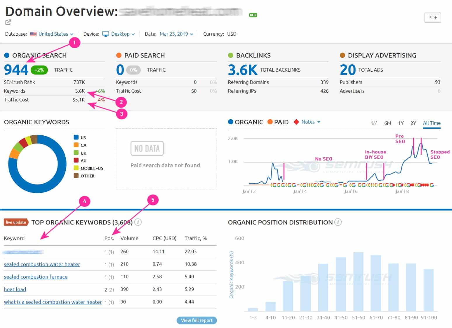 Example Search Rankings Report